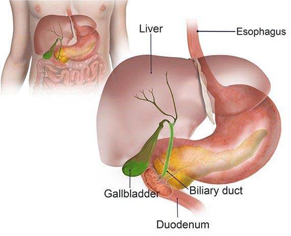 biliary duct surgery in mumbai