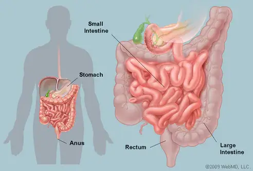 gastrointestinal infections treatment in mumbai